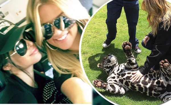 Khloe Kardashian y Kendall Jenner visitan a felinos en México  