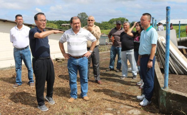 El 1 de diciembre comienza operaciones maquila coreana en Puerto Cortés