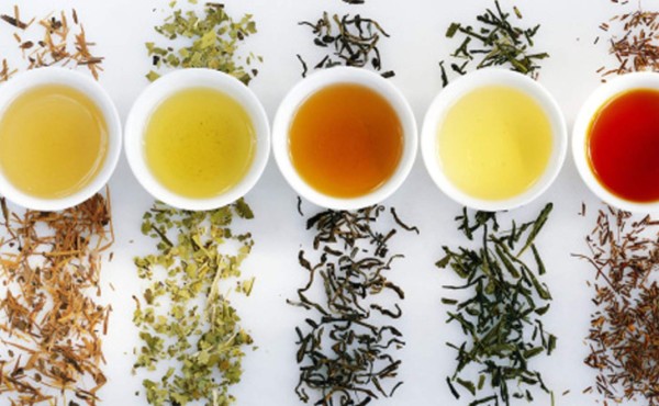 Los distintos tipos de tés y sus propiedades
