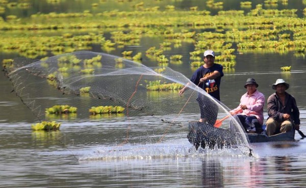 Tres años tardará recuperar la laguna de Jucutuma