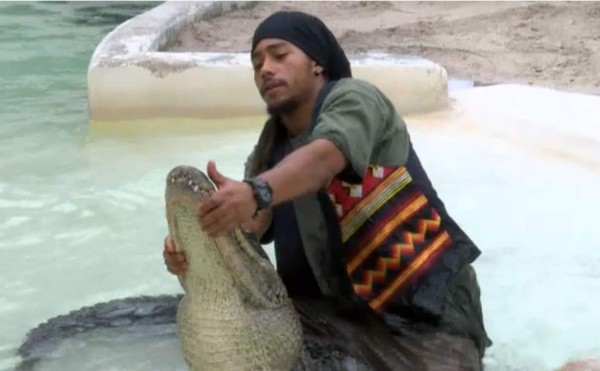 Florida se queda sin luchadores de cocodrilos