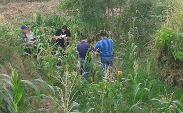 Pandillero mata a campesino en el norte de Honduras