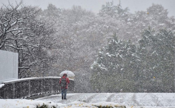Nieva en Tokio por primera vez en medio siglo