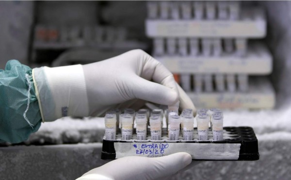 Australia comienza pruebas preclínicas de dos vacunas contra el coronavirus