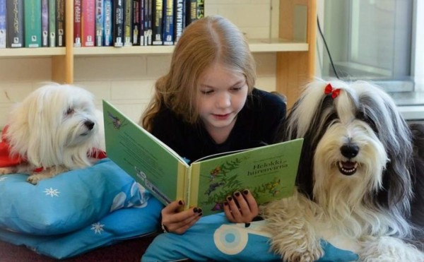 Leer con perros mejora la concentración&nbsp;&nbsp;