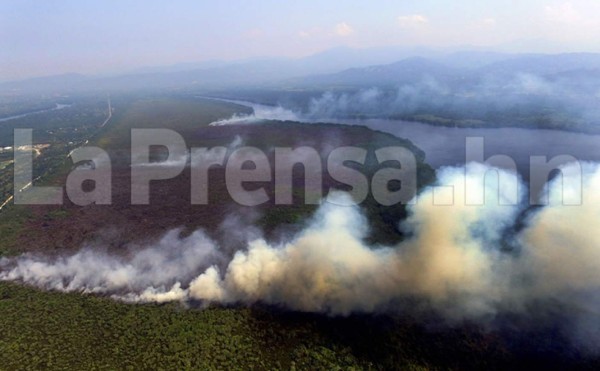 Fuego en parque Jeanette Kawas continúa propagándose