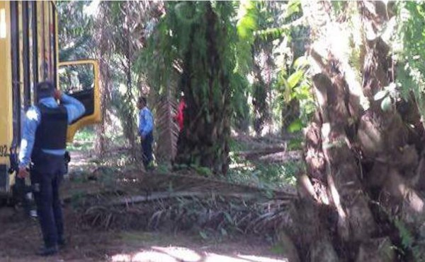 Matan a guardia para robar la caja fuerte de un camión