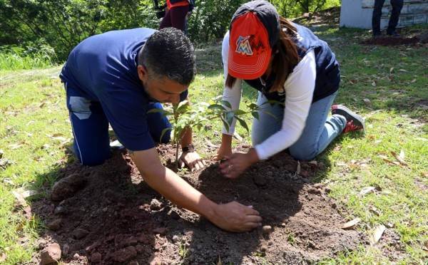 Estudiantes y autoridades de Honduras conmemoran Día del Árbol reforestando