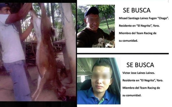 No pueden atribuirse el derecho de exterminar animales: Funapa