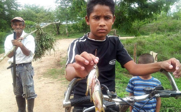 Honduras: Así fue la 'Lluvia de Peces' en Victoria, Yoro