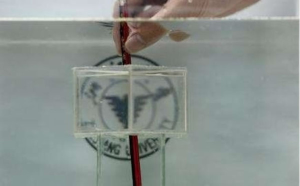 Intentan desarrollar la primera 'capa de la invisibilidad'