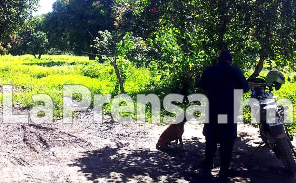 Enterrado hallan cadáver de joven desaparecido