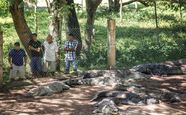 Se agrava crisis laboral en empresas de los Rosenthal