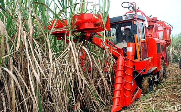 Cuba presentará consechadora de caña de azúcar que fabricó