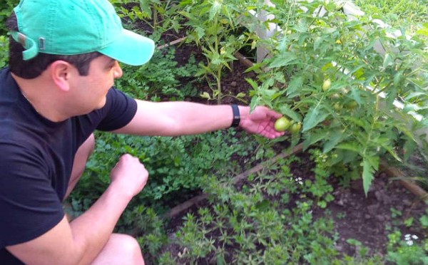 Honduras: Primera Dama exhorta a familias a sembrar en sus casas