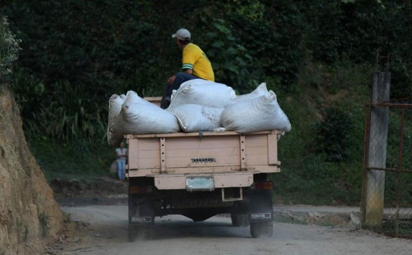 DEI redobla control para frenar fugas de café en aduanas