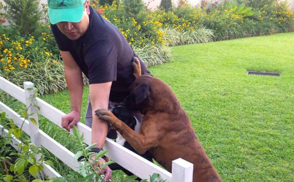 Honduras: Primera Dama exhorta a familias a sembrar en sus casas