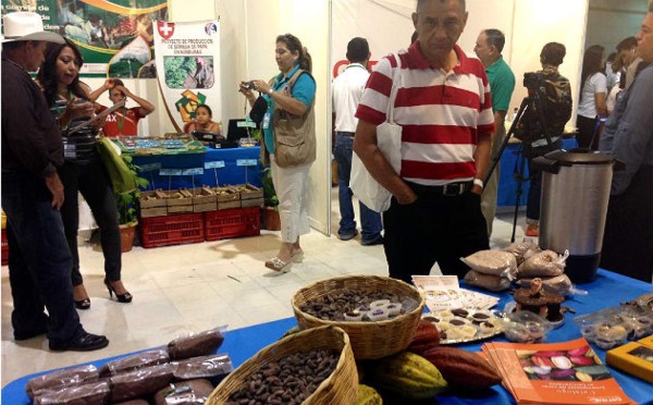 Construirán dos agro parques en Lempira