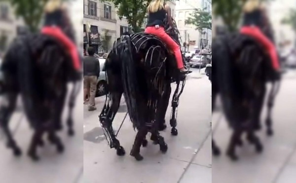 ¡Hay algo extraño en este 'caballo'!