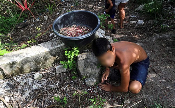 Hallan 1,000 quintales de frijoles enterrados en el oriente de Honduras