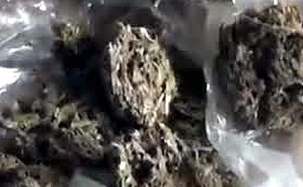 Estafan a joven con estiércol de caballo en lugar de marihuana