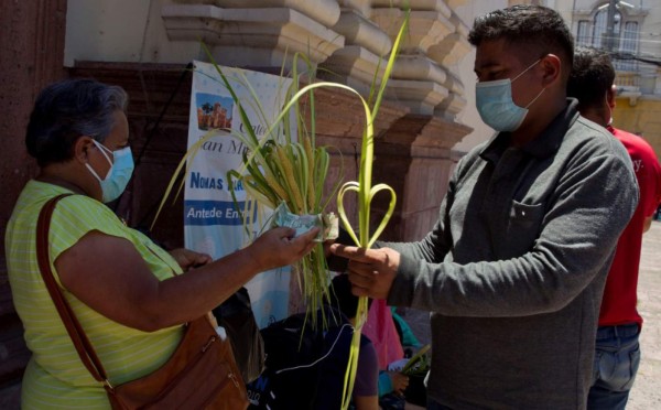 El covid-19 reduce ventas de palmas para Domingo de Ramos en Honduras