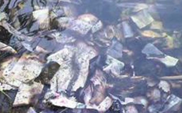 Hallan 100 mil dólares flotando en río