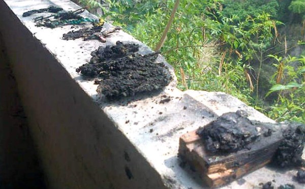 Honduras: Hallan restos humanos en viviendas de la capital