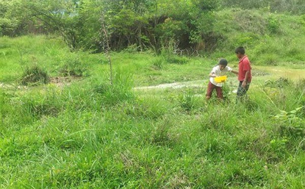 Honduras: Así fue la 'Lluvia de Peces' en Victoria, Yoro