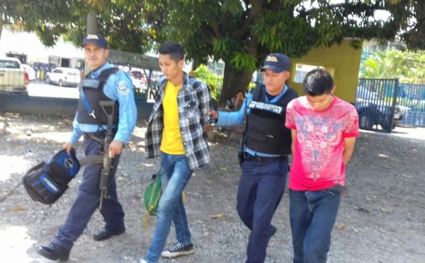 Hallan supuesta marihuana en cajas de plátanos en La Ceiba