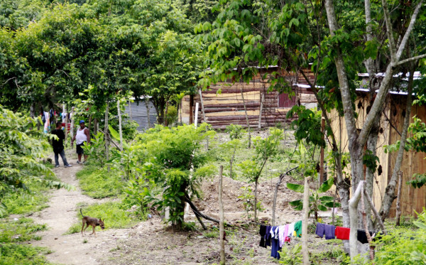 Invasores venden al por mayor los solares arriba de la cota 200 en El Merendón