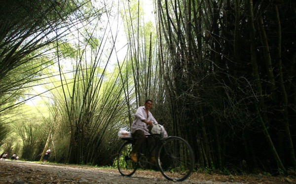 Lancetilla: Reserva en Caribe de Honduras desde hace 89 años