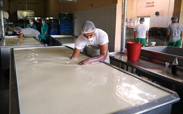Industria iniciará el próximo viernes la compra del excedente de leche
