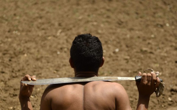 El Salvador pierde un 25% de la cosecha de maíz por sequía