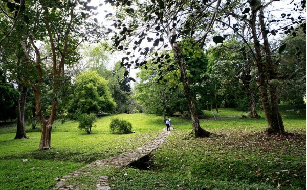Lancetilla: Reserva en Caribe de Honduras desde hace 89 años