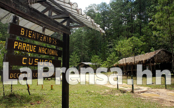 Alemania aporta 28 millones de dólares para ambiente en Centroamérica