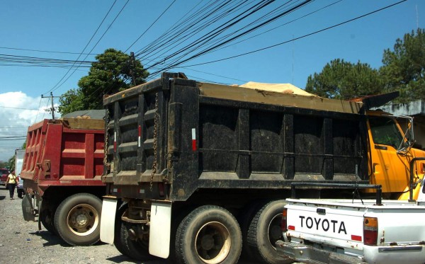 Presentan requerimiento fiscal contra jefe de Medio Ambiente de La Ceiba