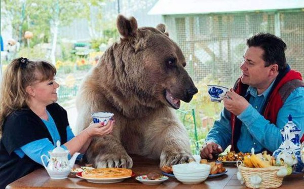 Familia convive con un oso 'salvaje' en Rusia