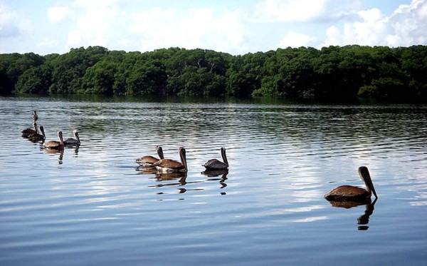 Tela: Ciudad turística por excelencia en el norte de Honduras