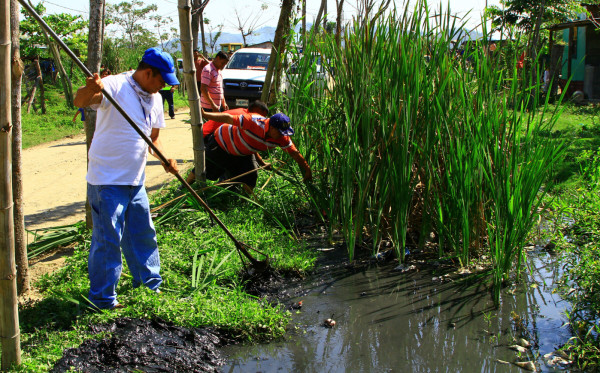 Buscan acabar con el dengue en San Pedro Sula