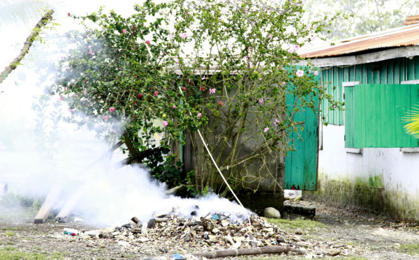 Basura del río Motagua afecta las playas hondureñas