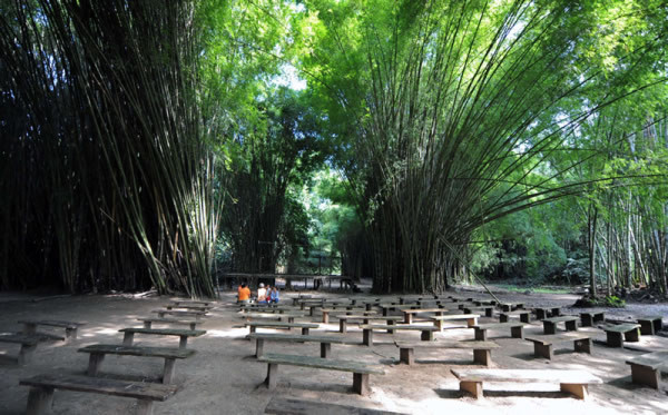 Lancetilla: Un paraíso verde en Honduras