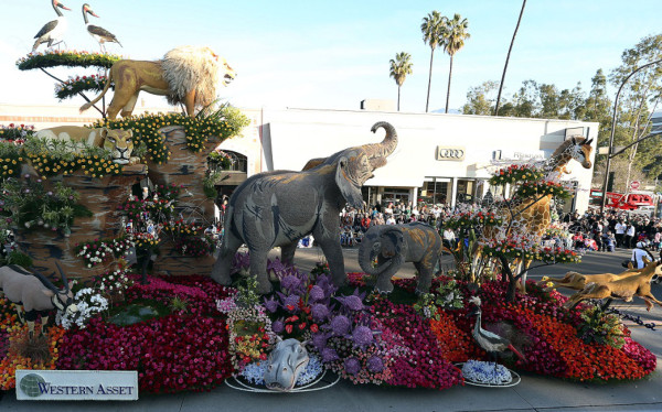 Millones de pétalos y semillas enamoran en Desfile de las Rosas