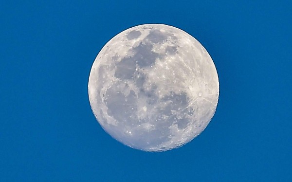 Eclipse de superluna de sangre lobo: dónde y cuándo verlo