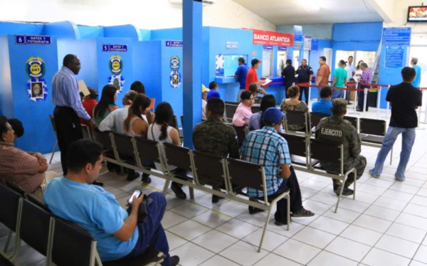 Solo 250 licencias diarias emiten en San Pedro Sula