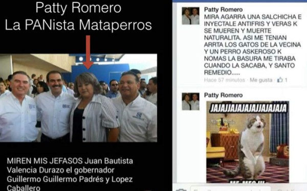 Mujer que aconsejó cómo matar perros y gatos enfurece las redes