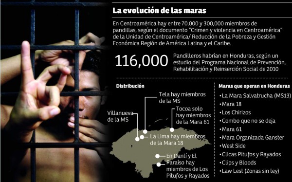 Hasta 50 años en prisión les caerán a líderes de maras