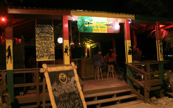 Noches de luna y fiesta