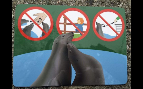 Prohíben el 'paloselfi' en zoológico