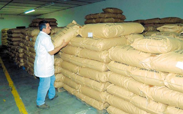 L 80 millones por ventas de cacao